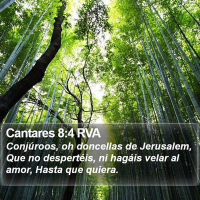 Cantares 8:4 RVA Bible Verse Image