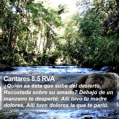 Cantares 8:5 RVA Bible Verse Image