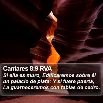 Cantares 8:9 RVA Bible Verse Image