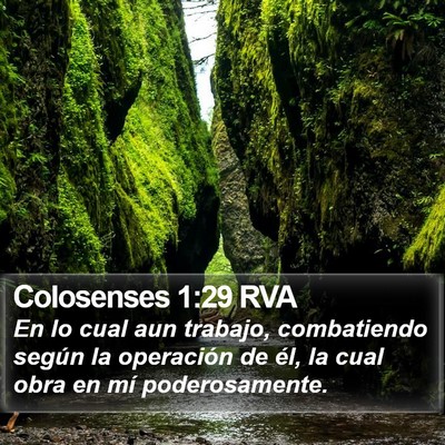 Colosenses 1:29 RVA Bible Verse Image