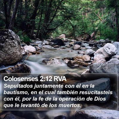 Colosenses 2:12 RVA Bible Verse Image