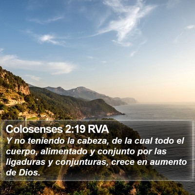 Colosenses 2:19 RVA Bible Verse Image