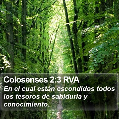 Colosenses 2:3 RVA Bible Verse Image