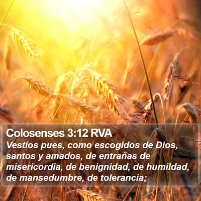 Colosenses 3:12 RVA Bible Verse Image