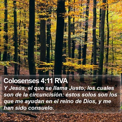 Colosenses 4:11 RVA Bible Verse Image