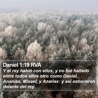 Daniel 1:19 RVA Bible Verse Image