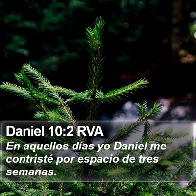 Daniel 10:2 RVA Bible Verse Image