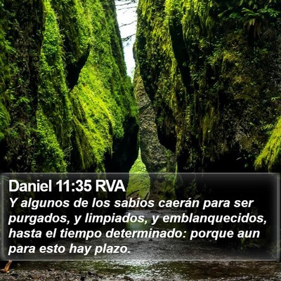 Daniel 11:35 RVA Bible Verse Image