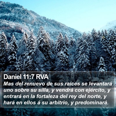 Daniel 11:7 RVA Bible Verse Image