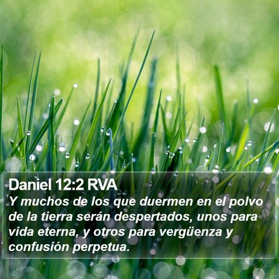 Daniel 12:2 RVA Bible Verse Image