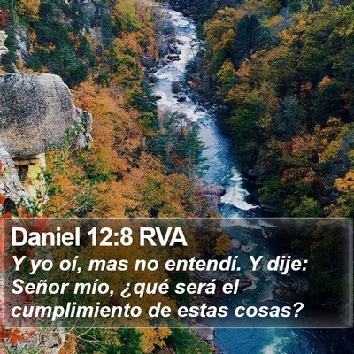 Daniel 12:8 RVA Bible Verse Image