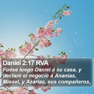 Daniel 2:17 RVA Bible Verse Image