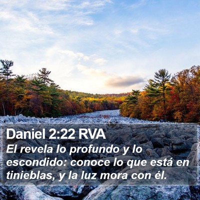 Daniel 2:22 RVA Bible Verse Image