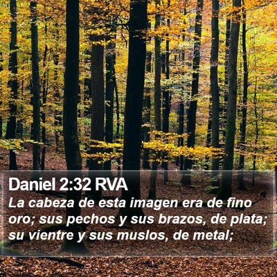 Daniel 2:32 RVA Bible Verse Image