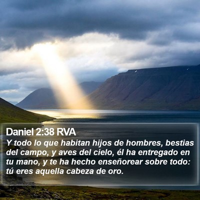 Daniel 2:38 RVA Bible Verse Image