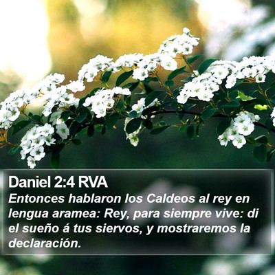 Daniel 2:4 RVA Bible Verse Image