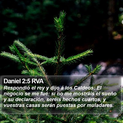Daniel 2:5 RVA Bible Verse Image