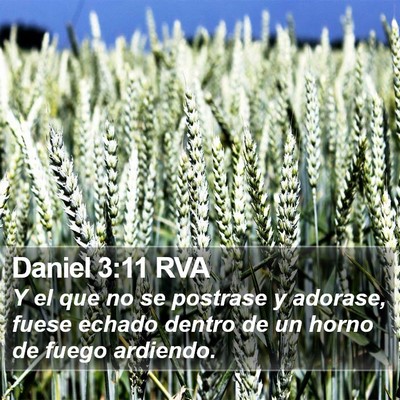 Daniel 3:11 RVA Bible Verse Image