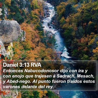 Daniel 3:13 RVA Bible Verse Image
