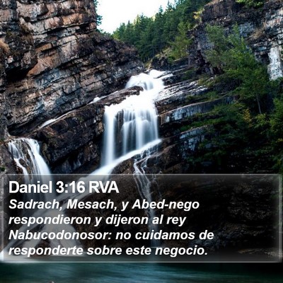 Daniel 3:16 RVA Bible Verse Image