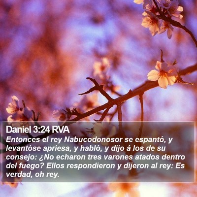Daniel 3:24 RVA Bible Verse Image