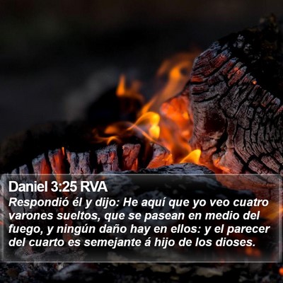 Daniel 3:25 RVA Bible Verse Image