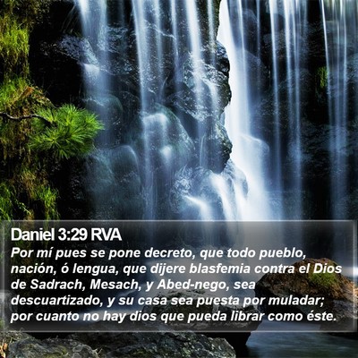Daniel 3:29 RVA Bible Verse Image