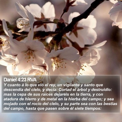 Daniel 4:23 RVA Bible Verse Image