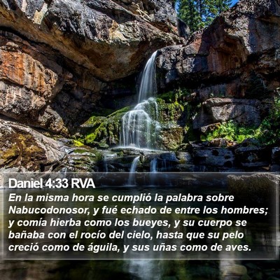 Daniel 4:33 RVA Bible Verse Image