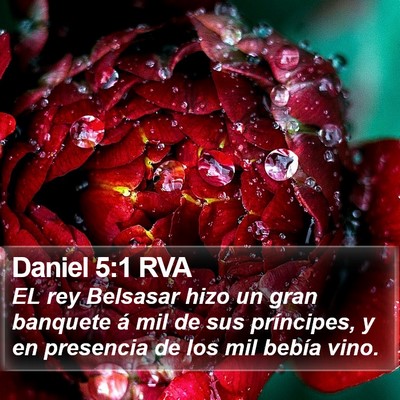 Daniel 5:1 RVA Bible Verse Image