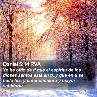 Daniel 5:14 RVA Bible Verse Image
