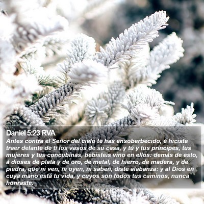 Daniel 5:23 RVA Bible Verse Image