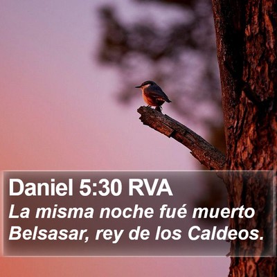 Daniel 5:30 RVA Bible Verse Image