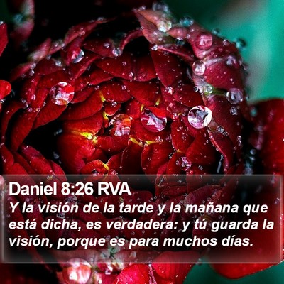 Daniel 8:26 RVA Bible Verse Image
