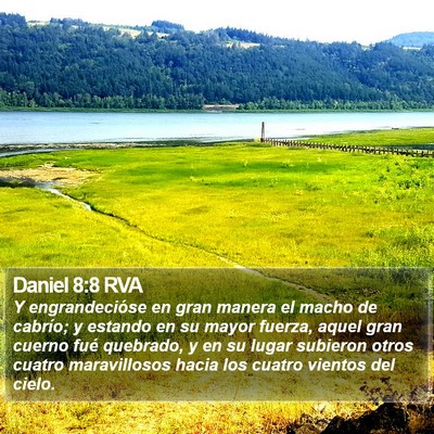 Daniel 8:8 RVA Bible Verse Image
