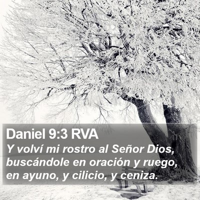 Daniel 9:3 RVA Bible Verse Image