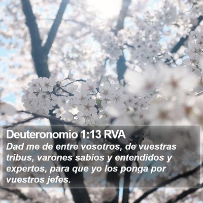 Deuteronomio 1:13 RVA Bible Verse Image