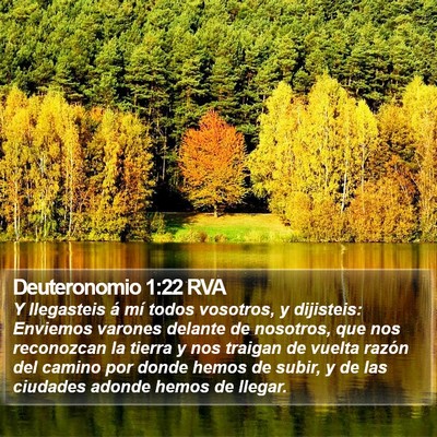 Deuteronomio 1:22 RVA Bible Verse Image