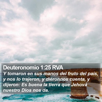 Deuteronomio 1:25 RVA Bible Verse Image
