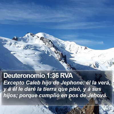 Deuteronomio 1:36 RVA Bible Verse Image