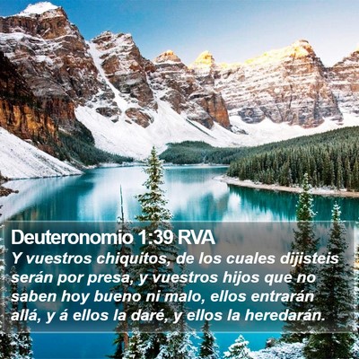 Deuteronomio 1:39 RVA Bible Verse Image