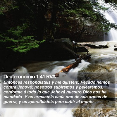 Deuteronomio 1:41 RVA Bible Verse Image