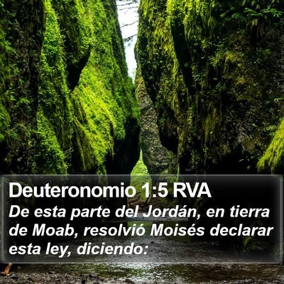 Deuteronomio 1:5 RVA Bible Verse Image