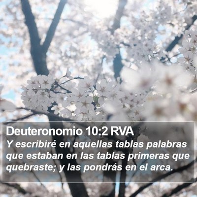 Deuteronomio 10:2 RVA Bible Verse Image
