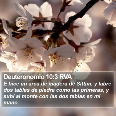 Deuteronomio 10:3 RVA Bible Verse Image