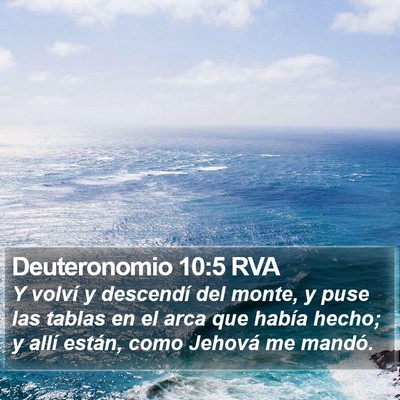 Deuteronomio 10:5 RVA Bible Verse Image