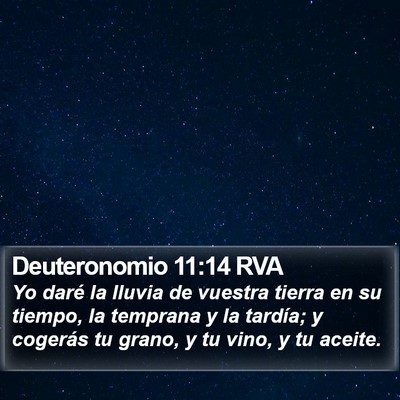 Deuteronomio 11:14 RVA Bible Verse Image
