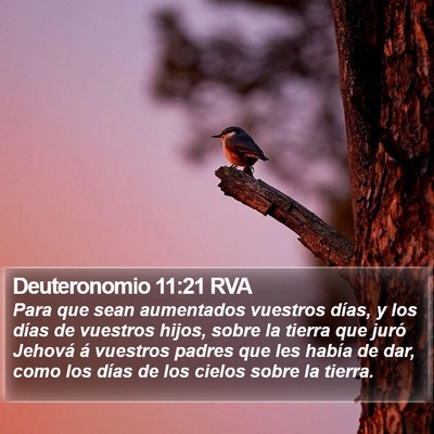 Deuteronomio 11:21 RVA Bible Verse Image