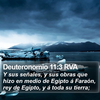 Deuteronomio 11:3 RVA Bible Verse Image