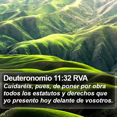Deuteronomio 11:32 RVA Bible Verse Image